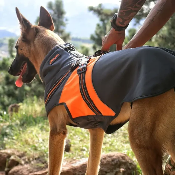 2-in-1 Dog Jacket & Harness for Fall & Winter